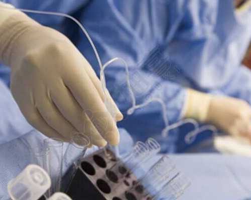 探索试管婴儿中的卵泡发育与成熟标准