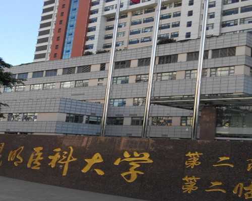 探究高龄女性的供卵试管助孕成功率与影响因素