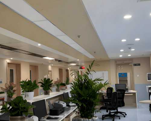 长沙试管包男孩,2026长沙试管婴儿包男孩费用大概多少钱_靠谱代孕机构