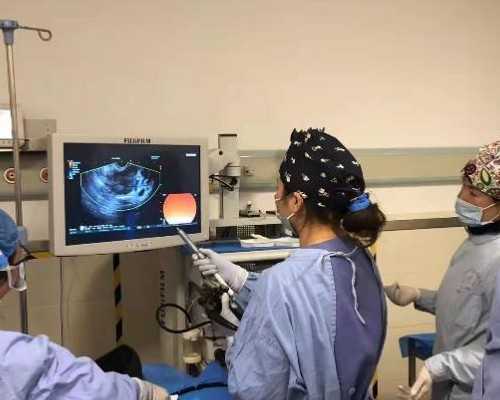 2026年辅助生殖生育男孩费用指南与医院选择