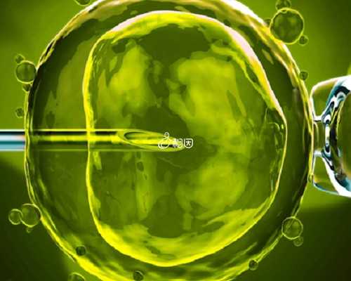 长沙代孕价格哪家好,株洲需到长沙哪个地方做亲子鉴定,长沙至株洲城铁查询